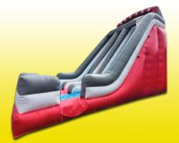 25ft Dual Lane Slide Red & White