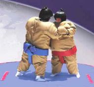 Sumo Suits & Pads